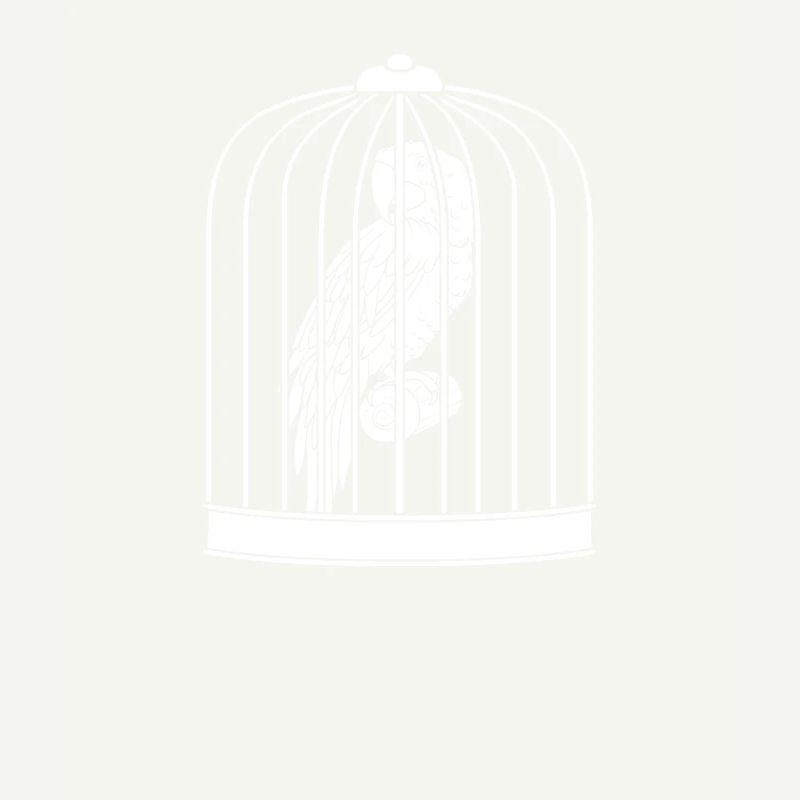 Cage de perroquet