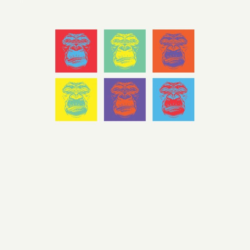 Singe Coloré 2