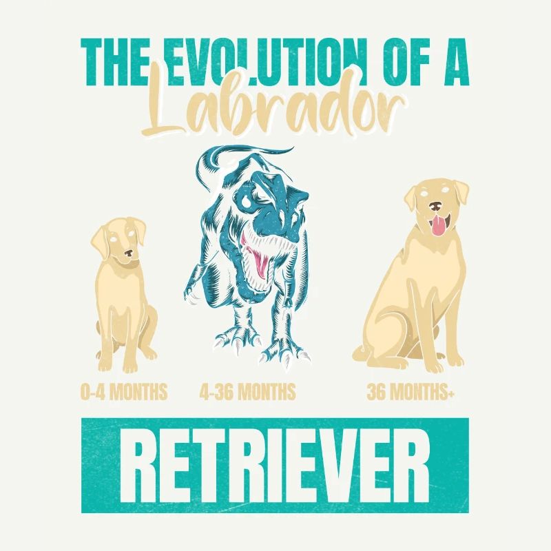 EVOLUTION D’UN PROPRIÉTAIRE DE LABRADOR RETRIEVER