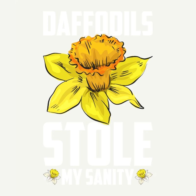 Daffodils Flower Daffodil Daffodils