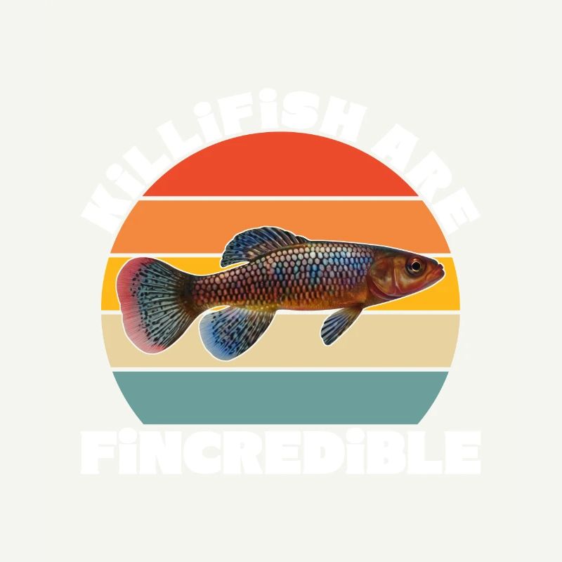Killifish Quarium Fish