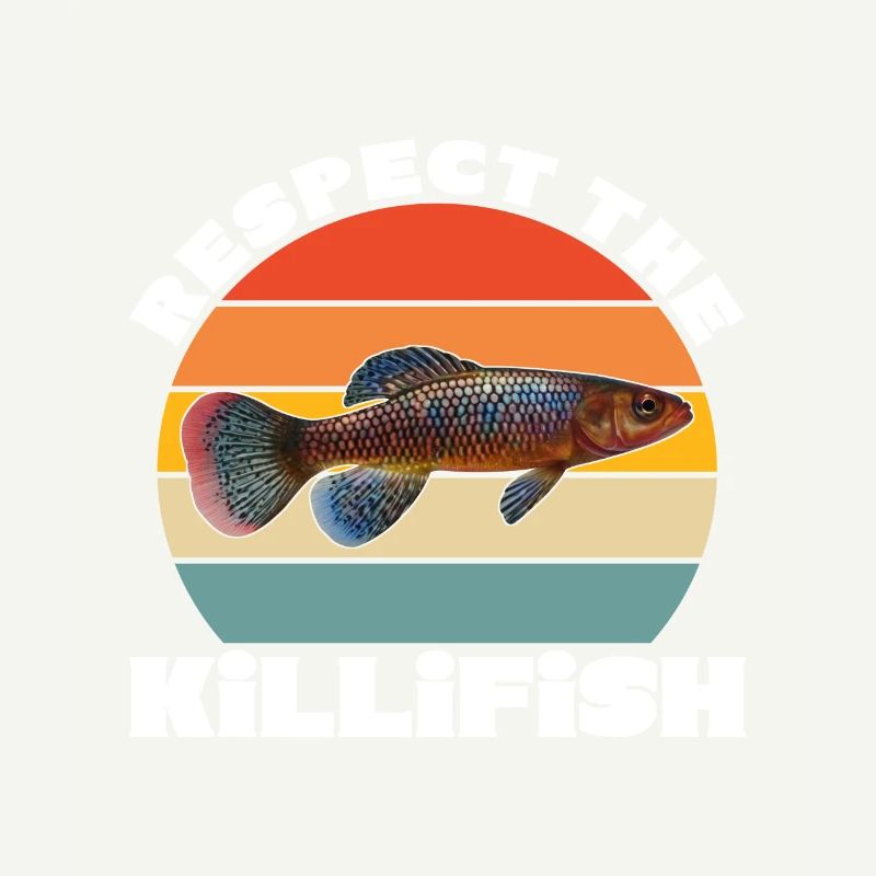 Killifish Quarium Fish