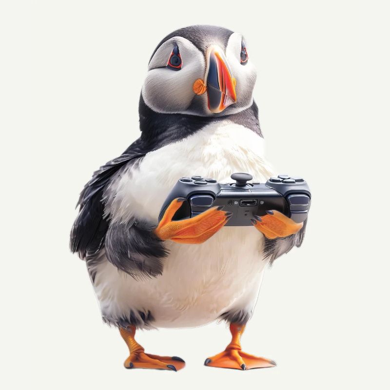 Puffin