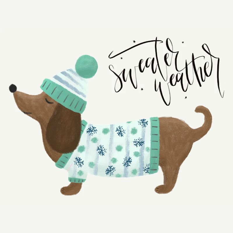 Dackel mit Pullover und Mütze - Sweater Weather