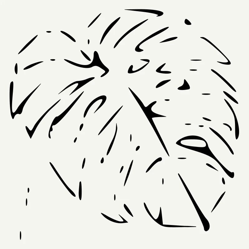Monstera