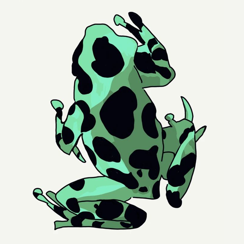 Frog & Toad