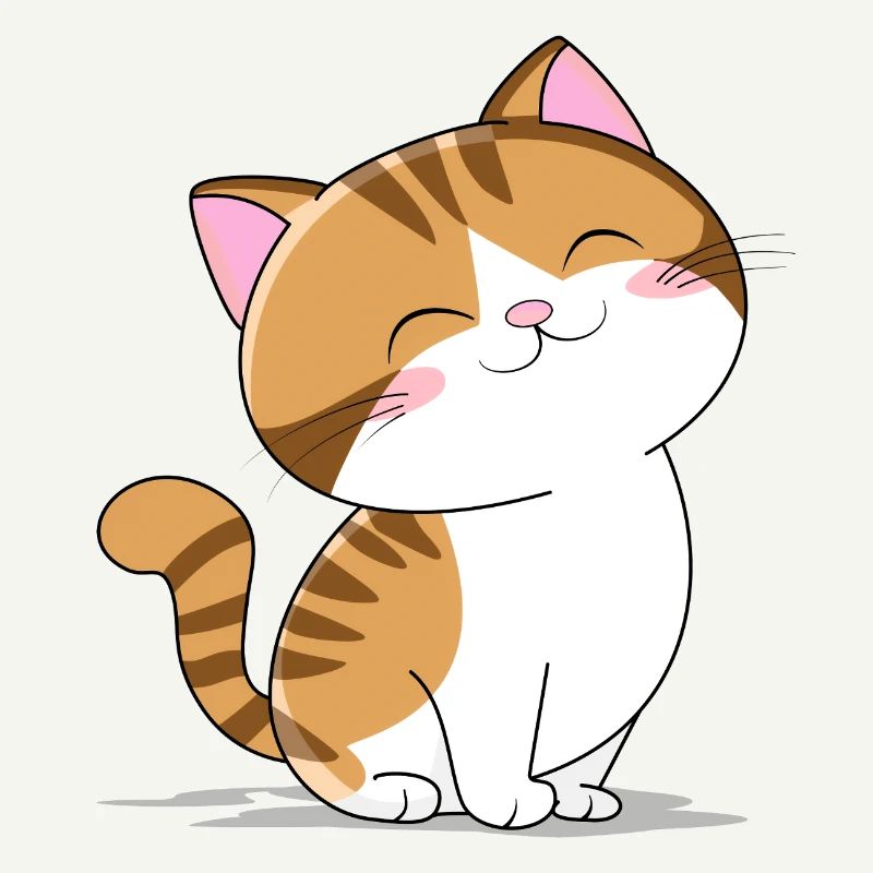 Petit chat mignon