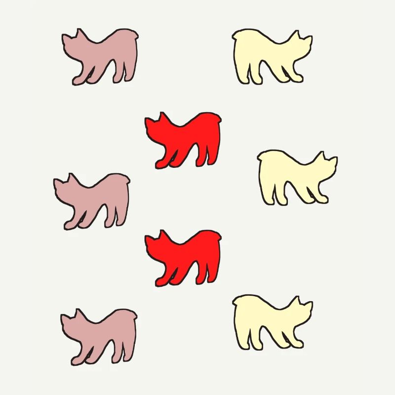 Chats sans queue