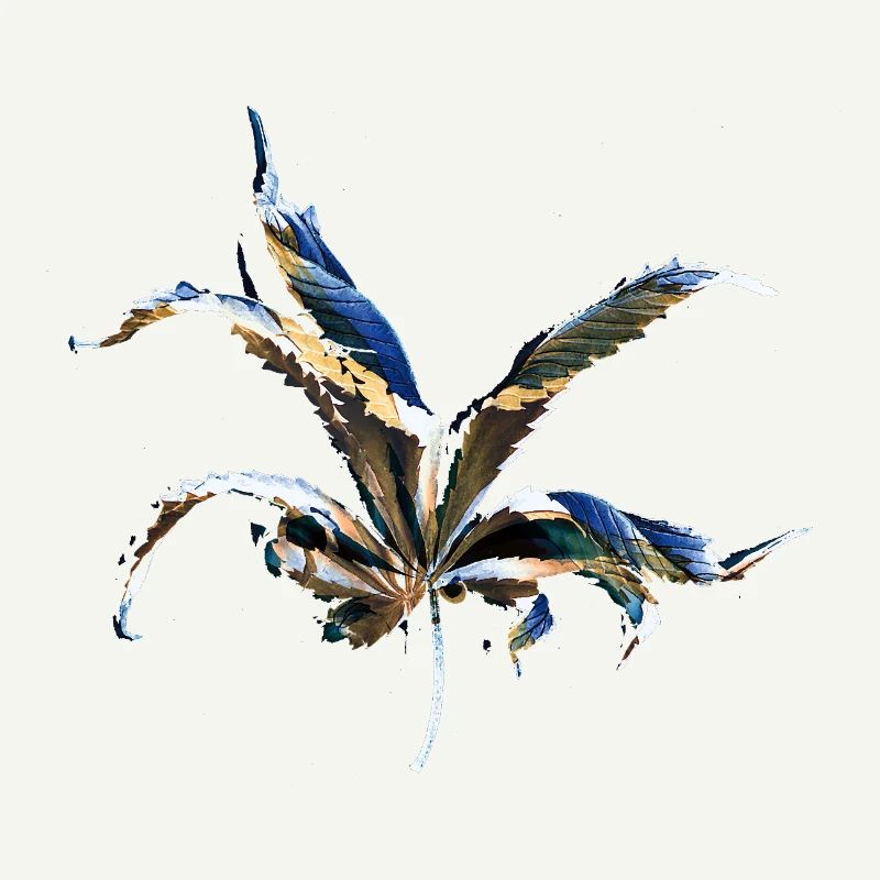 Leaf layers