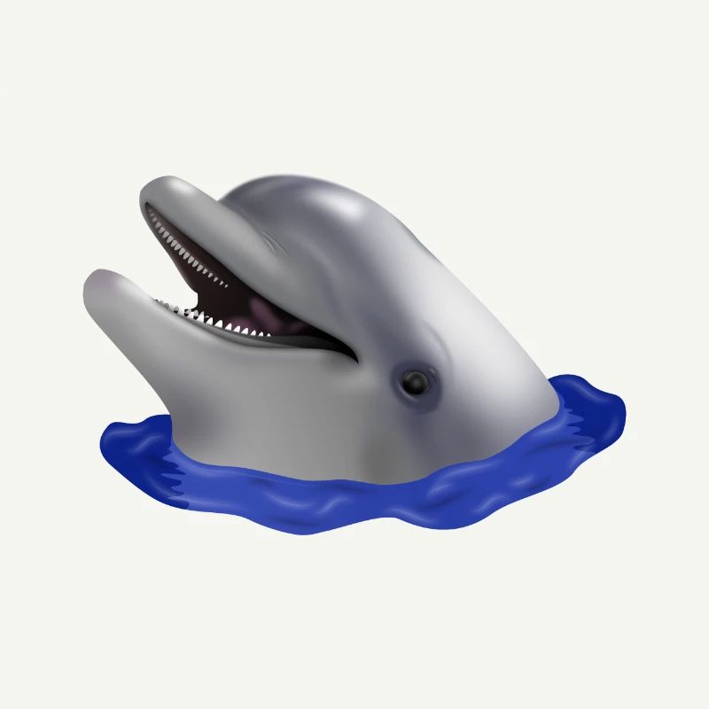 Dolphin's head