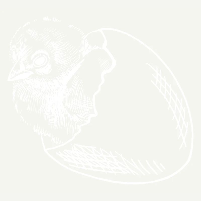 Chicks hatch egg