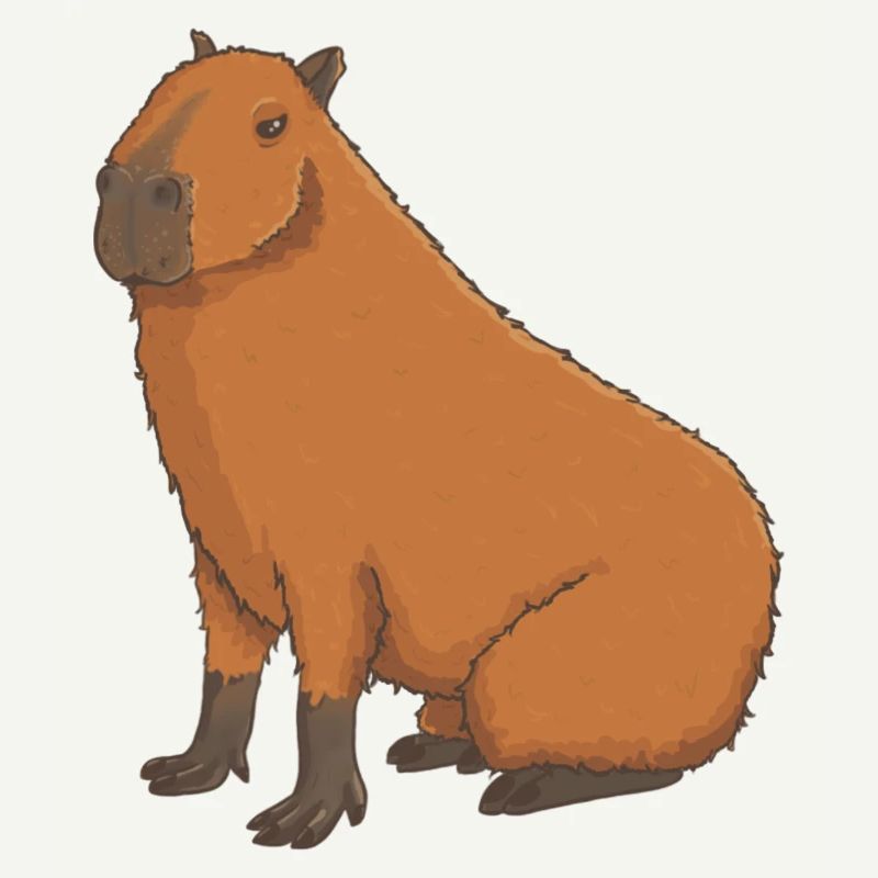 Süßes Capybara