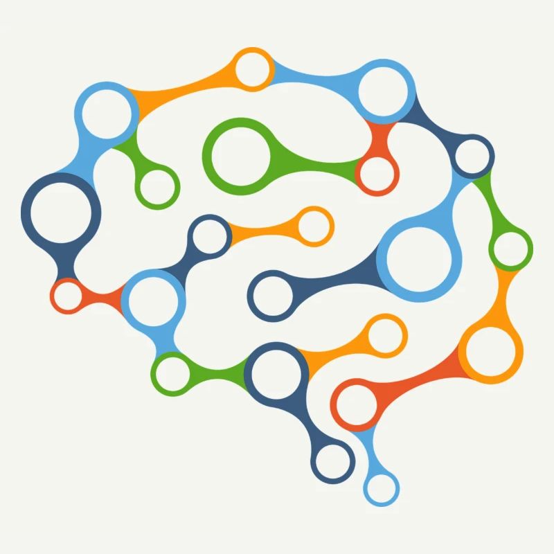 Brain network