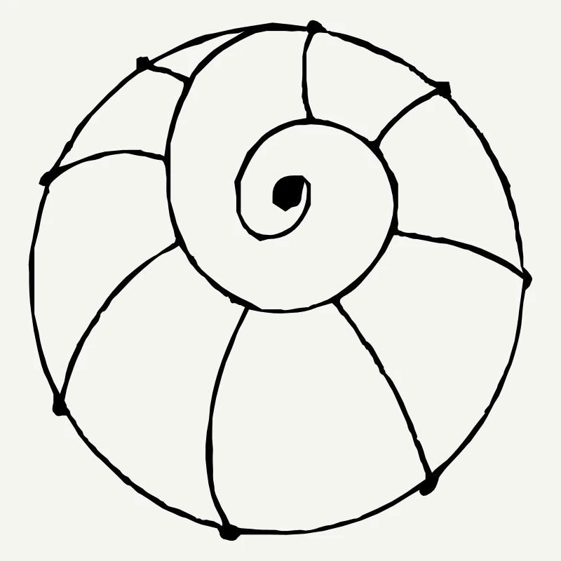 shell