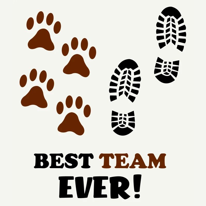 Best Team Ever