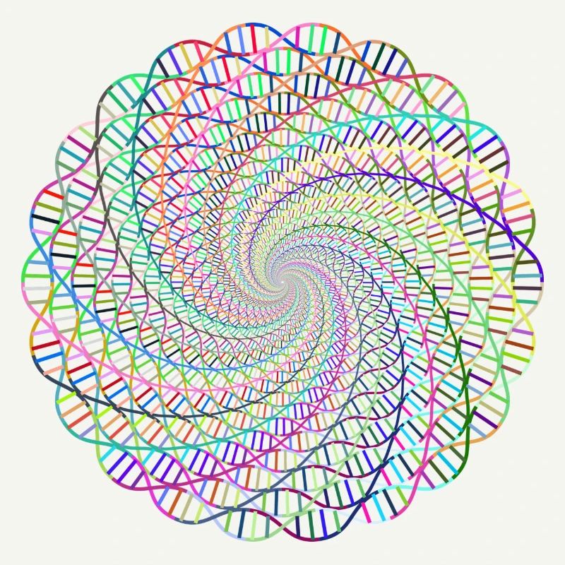 DNA