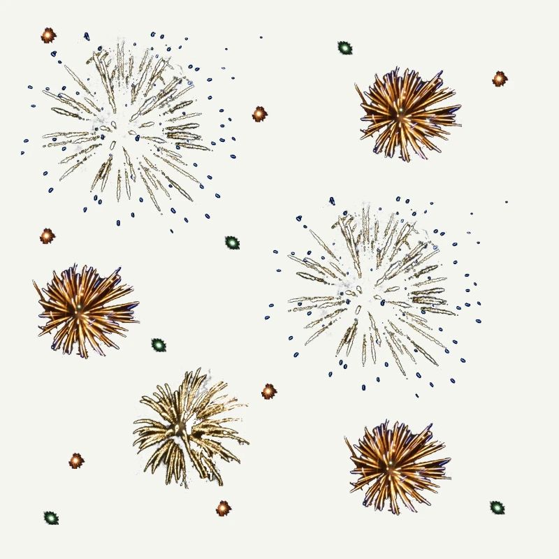 fireworks