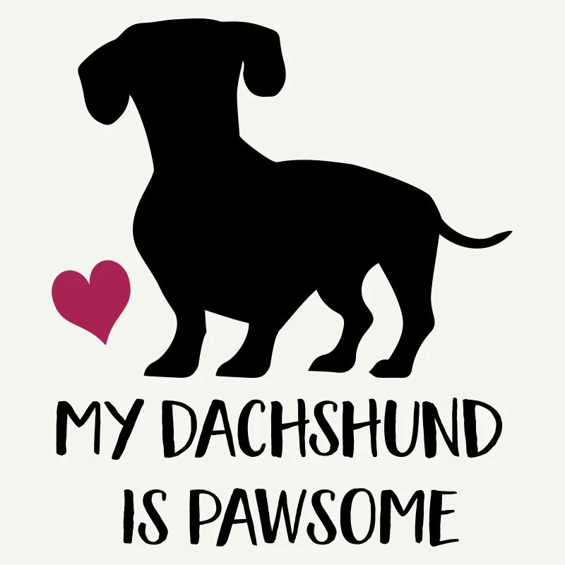 dachshund