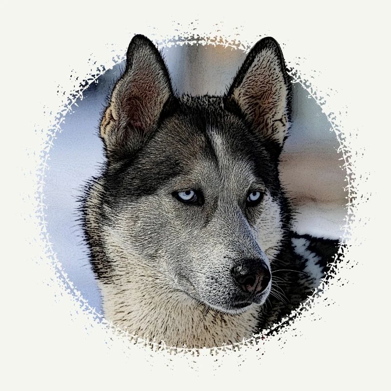 Husky