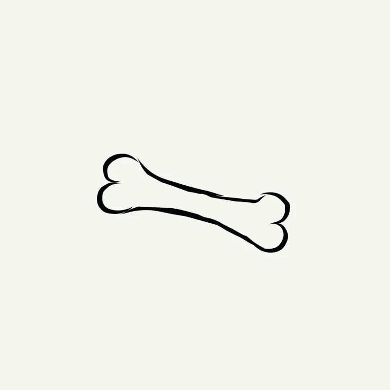 Os bone