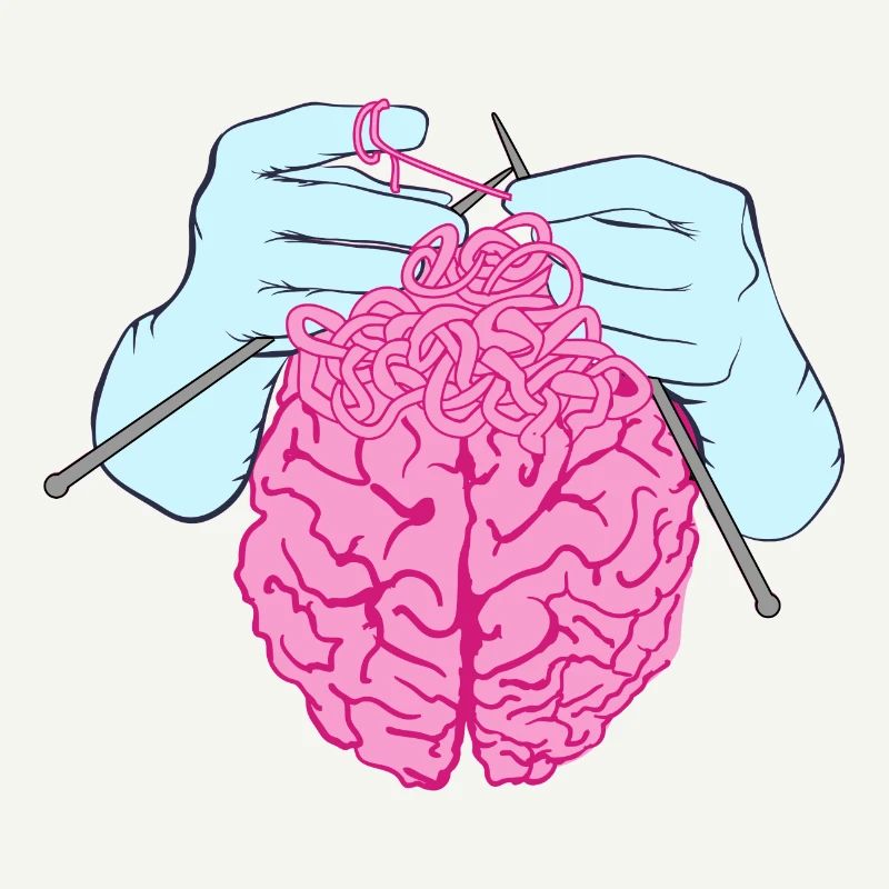 Brain Construction
