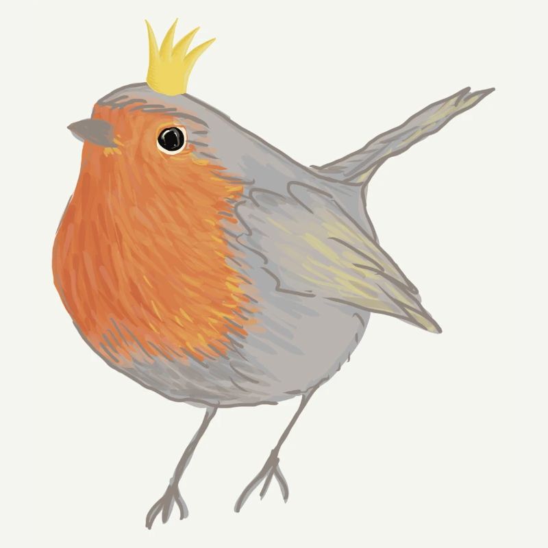 Princesse Robin