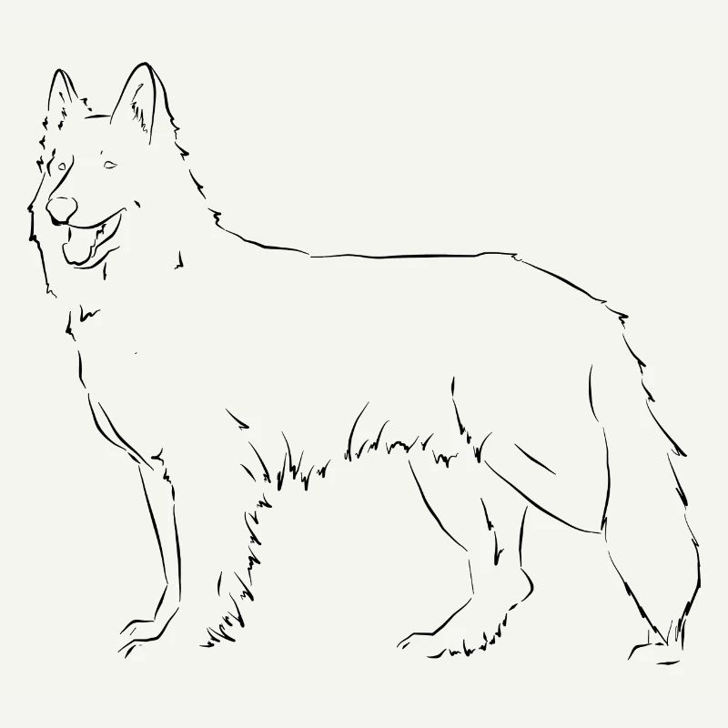 White Swiss Shepherd Dog