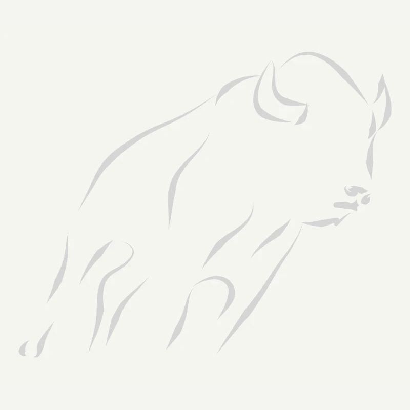 Bison - light gray