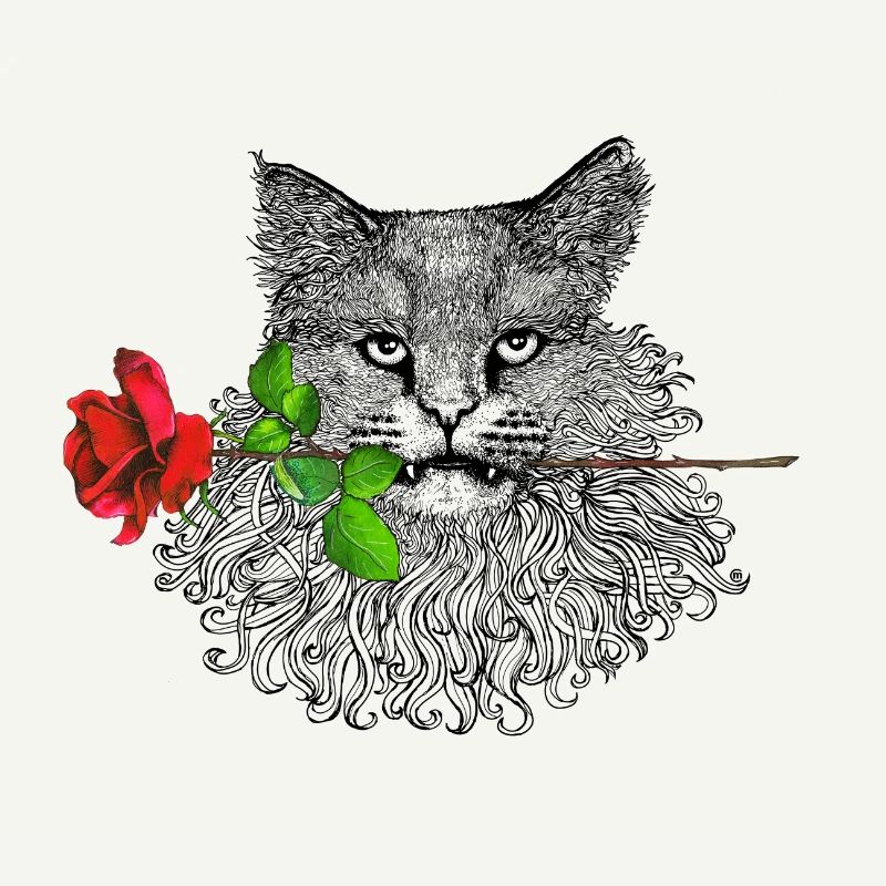 Romantische Katze
