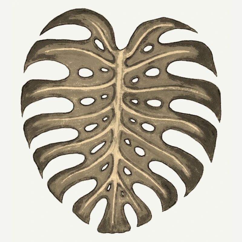 Monstera