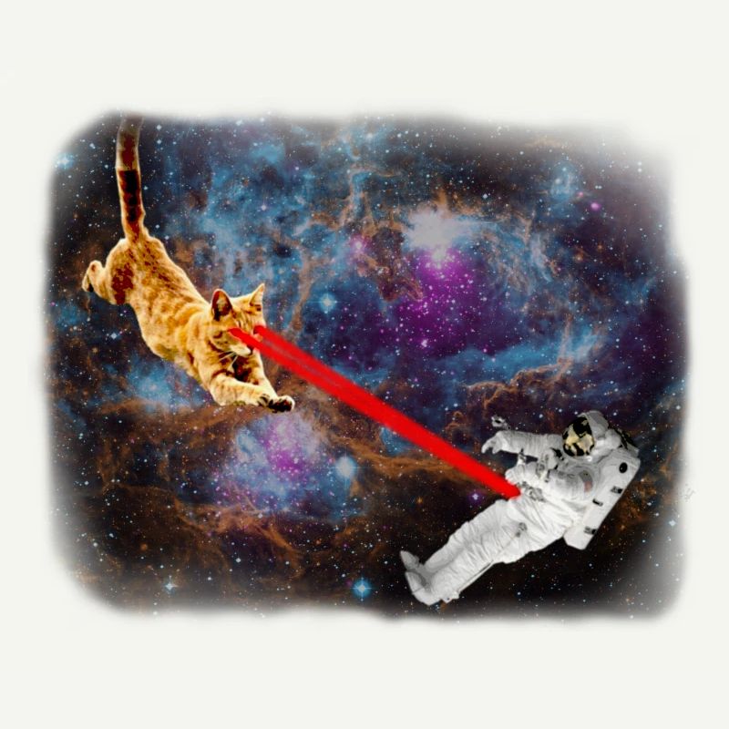 Chat spatial Spacecat