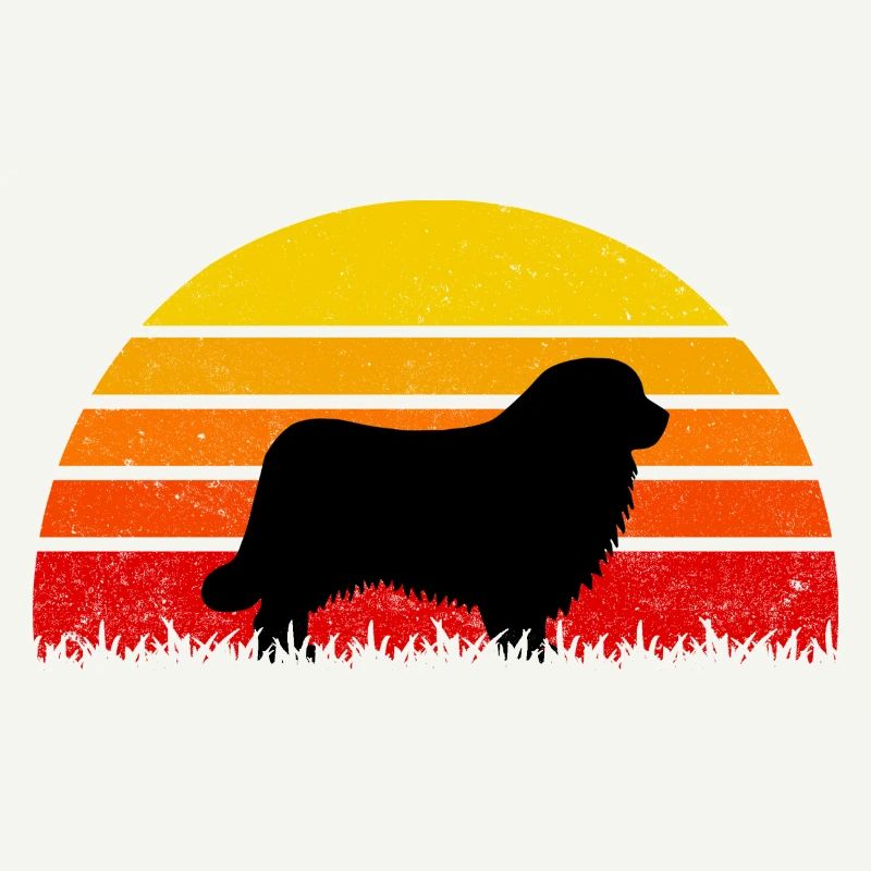 Chiens de Terre-Neuve Sunset