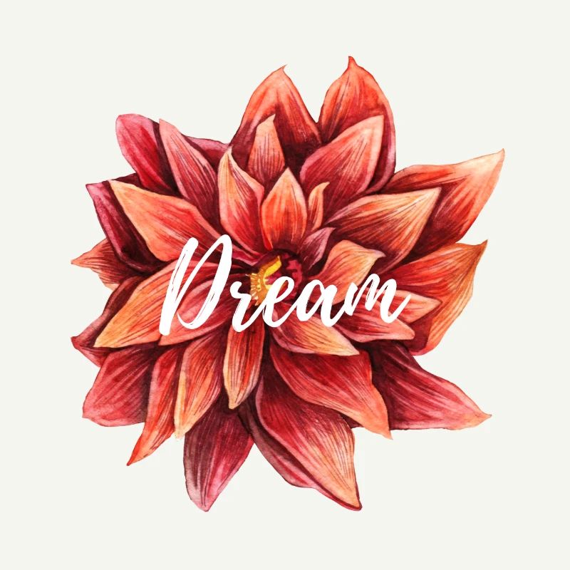 Dream
