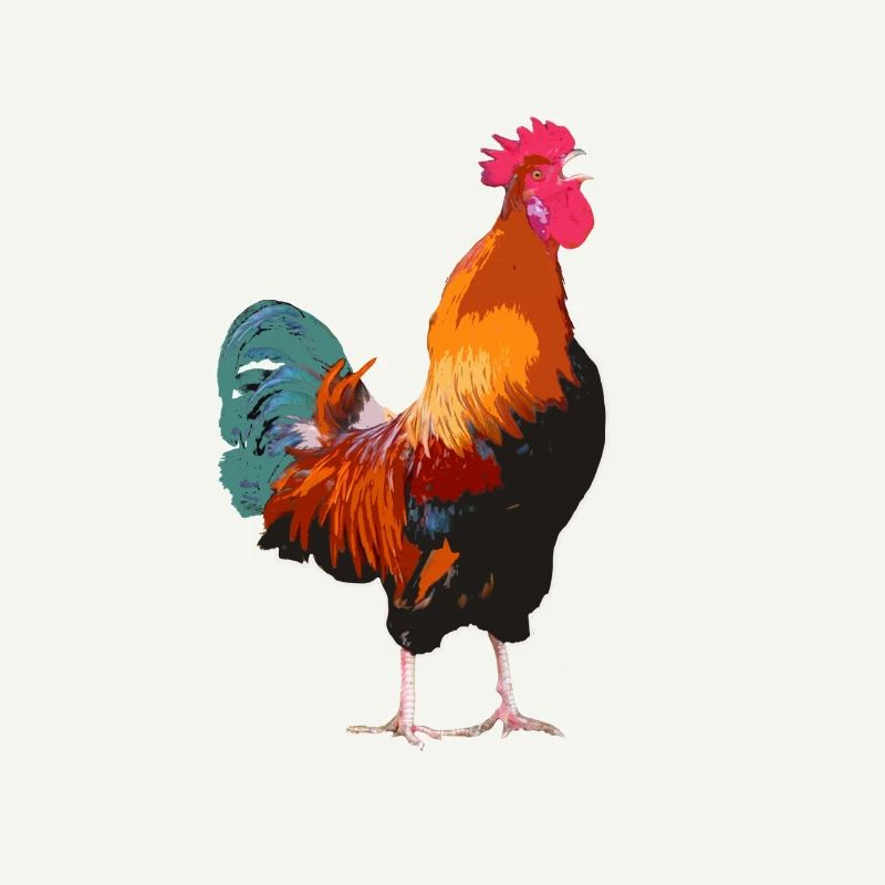 Coq