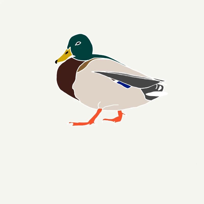 Canard