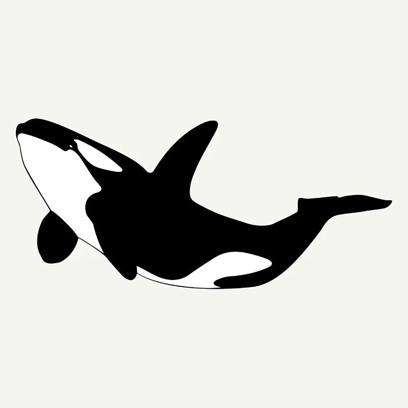Orca