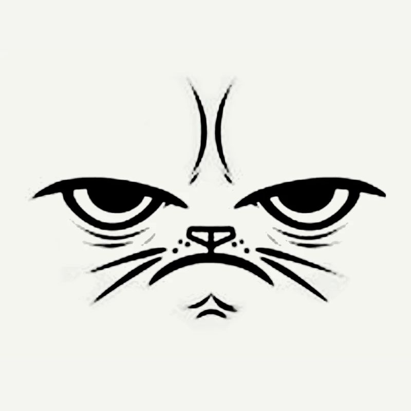 Crumpy Cat - Gift Gift Idea Face