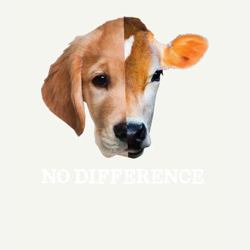 No difference Vegan