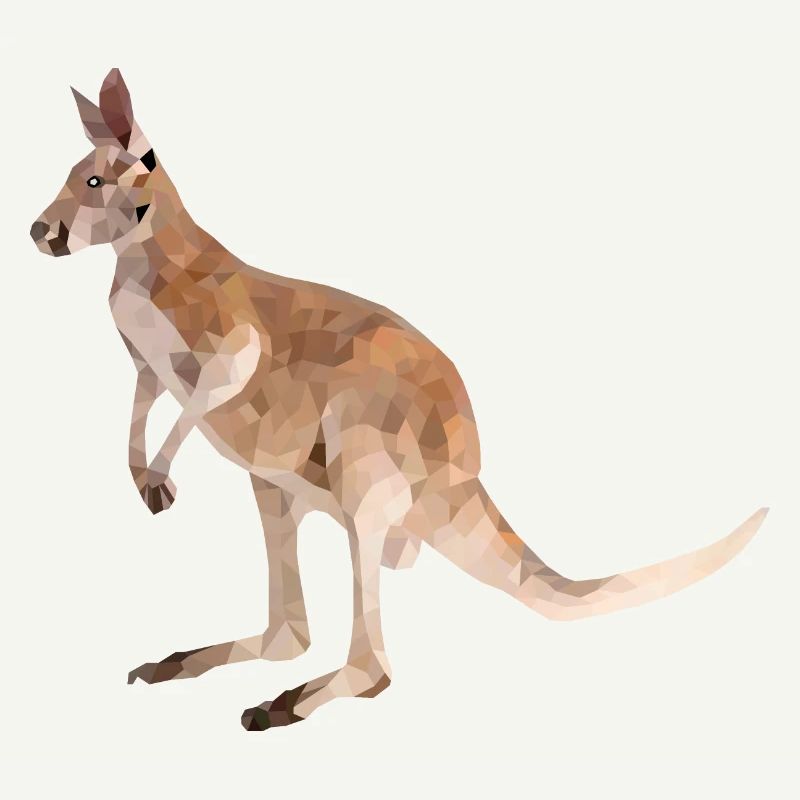 Kangaroo