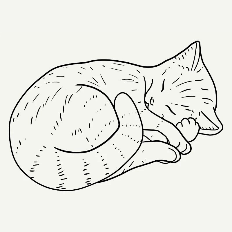 Katze Zeichnung