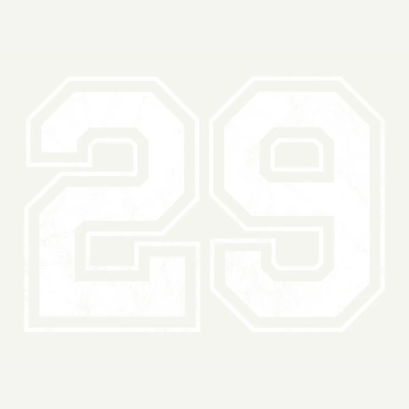 Numéro 29