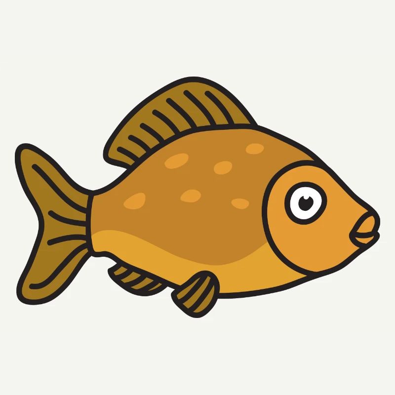 Karpfen Fische Angeln