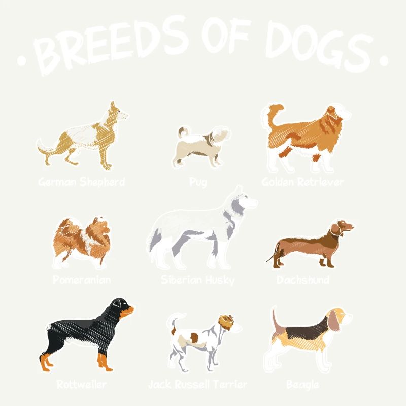 Races de chiens
