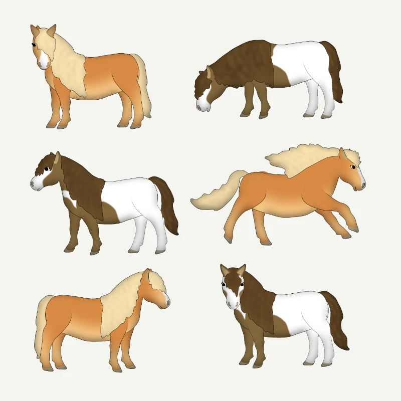Shetlandpony Sélection