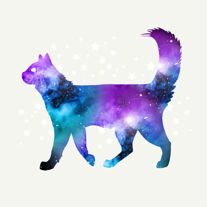 Étoiles spatiales de chat
