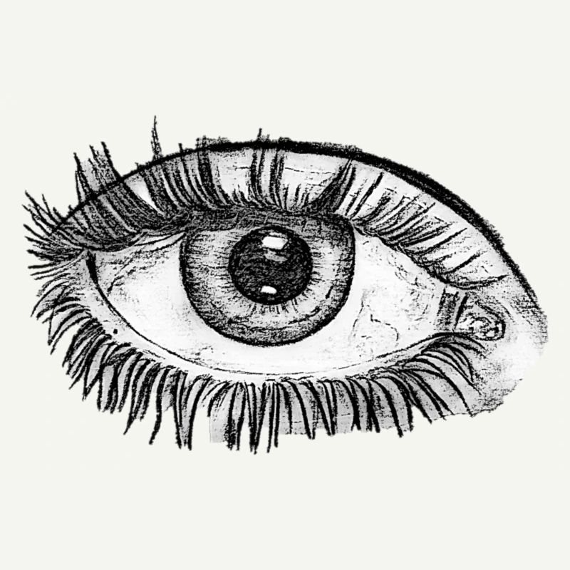 OEIL