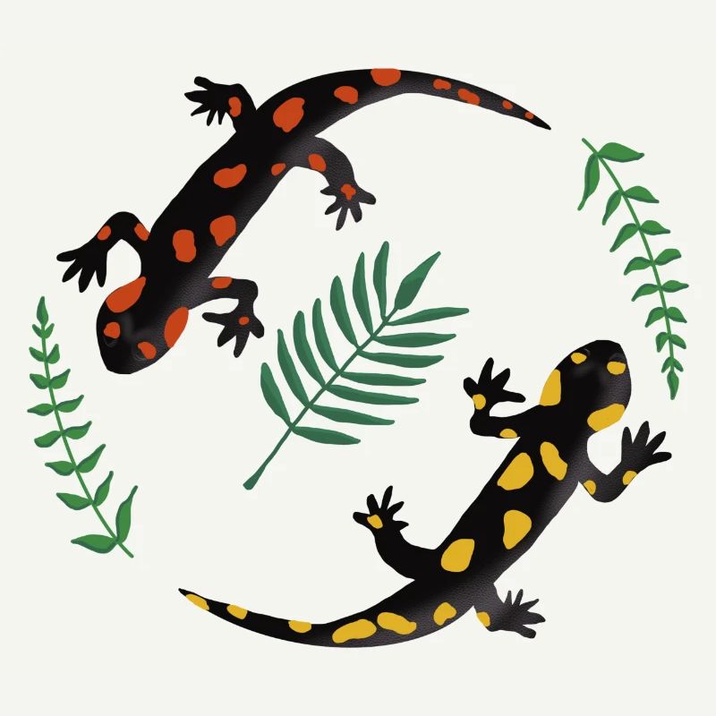Salamander