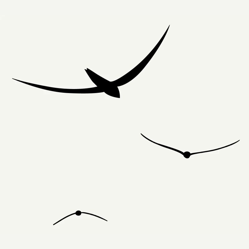 birds free fly