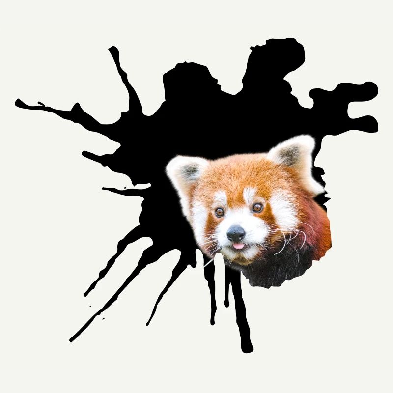 Roter Panda, Spalte