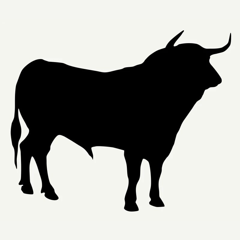 toro 2